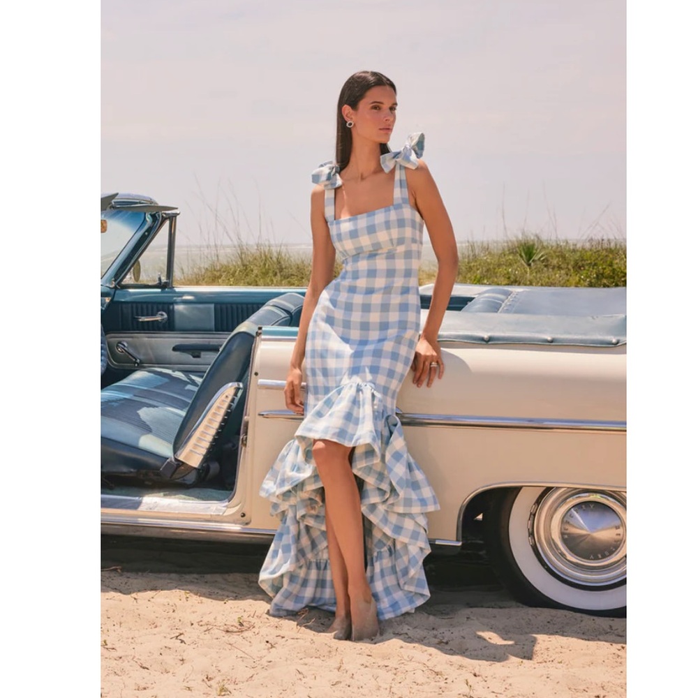 Leal Daccarett La Palma Dress Blue Gingham size 10 NWT Over The Moon!